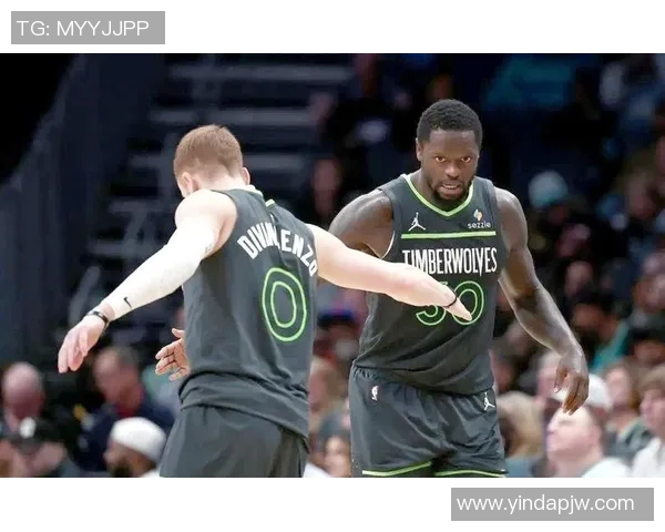NBA猛龙与森林狼对决精彩回顾球员表现与战术分析全解析